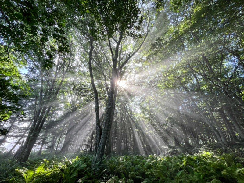 神秘の秘湖トレッキング